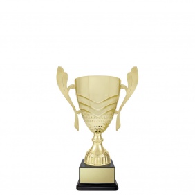 A F L Trophy AR623D - Trophy Land A F L Trophy AR623D - Trophy Land