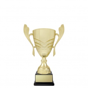 A F L Trophy AR623E - Trophy Land A F L Trophy AR623E - Trophy Land