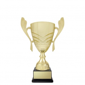 A F L Trophy AR623F - Trophy Land A F L Trophy AR623F - Trophy Land