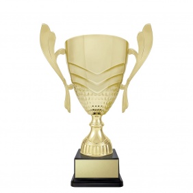 A F L Trophy AR623G - Trophy Land A F L Trophy AR623G - Trophy Land