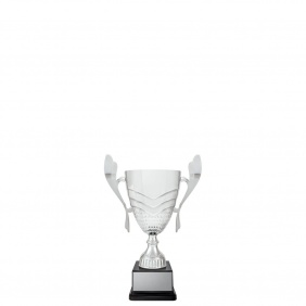 A F L Trophy AR624A - Trophy Land A F L Trophy AR624A - Trophy Land