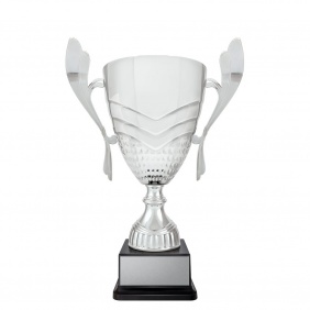 A F L Trophy AR624G - Trophy Land A F L Trophy AR624G - Trophy Land