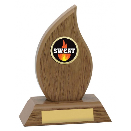 ASQ310 - Trophy Land