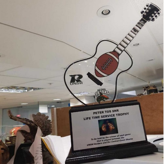 Acrylic Guitar Award - Trophy Land
