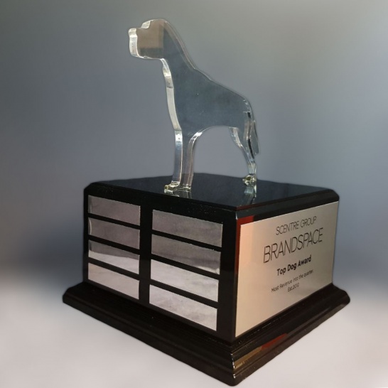 Acrylic Top Dog Award - Trophy Land
