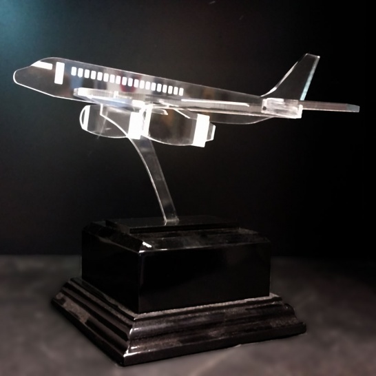 Aeroplane Award - Trophy Land