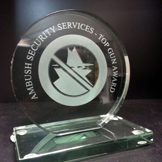 Ambush Security Award - Trophy Land