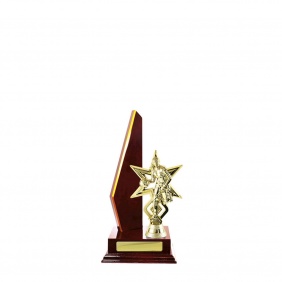 Basketball Trophy B23CHA - Trophy Land