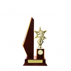 Basketball Trophy B23CHC - Trophy Land