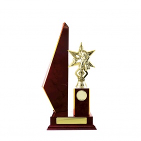 Basketball Trophy B23CHD - Trophy Land