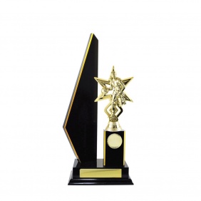 Basketball Trophy B23DKD - Trophy Land