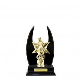 Basketball Trophy B25DKA - Trophy Land