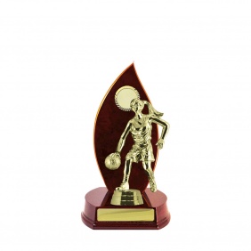 Basketball Trophy B26CHA - Trophy Land