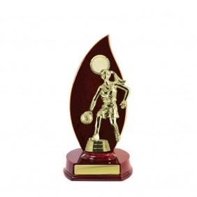 Basketball Trophy B26CHB - Trophy Land