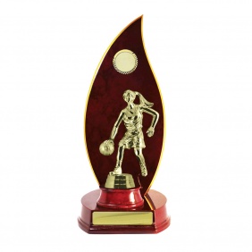 Basketball Trophy B26CHC - Trophy Land