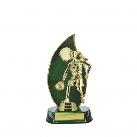 Basketball Trophy B26GNA - Trophy Land