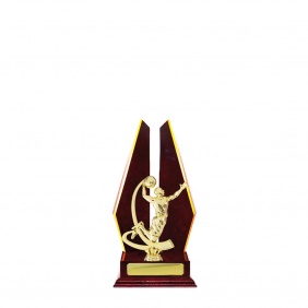 Basketball Trophy B27CHA - Trophy Land