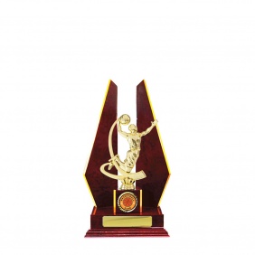 Basketball Trophy B27CHB - Trophy Land