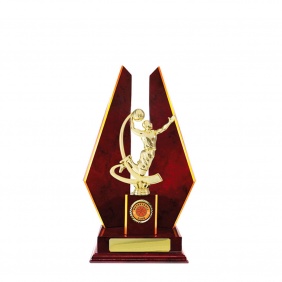 Basketball Trophy B27CHC - Trophy Land