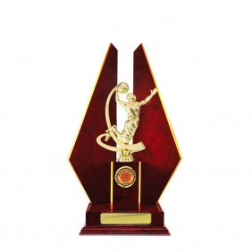 Basketball Trophy B27CHD - Trophy Land