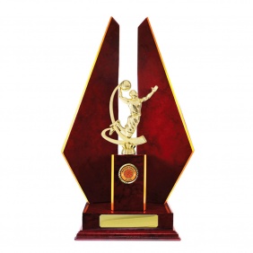 Basketball Trophy B27CHE - Trophy Land