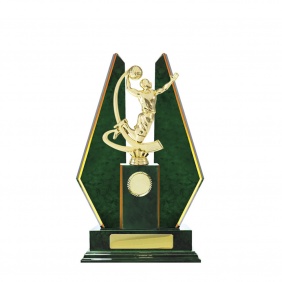 Basketball Trophy B27GND - Trophy Land