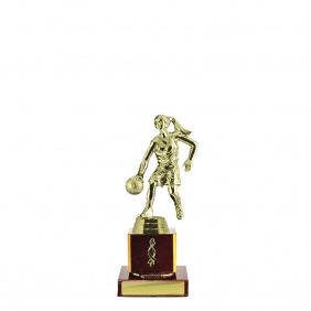 Basketball Trophy B32CHA - Trophy Land