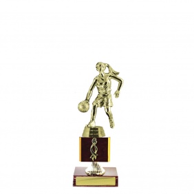 Basketball Trophy B32CHB - Trophy Land