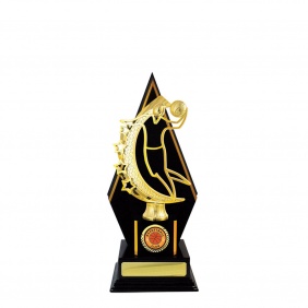 Basketball Trophy B34DKB - Trophy Land