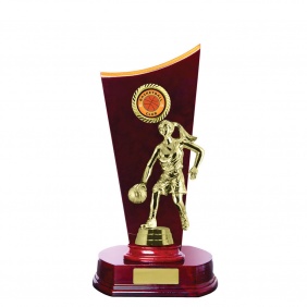 Basketball Trophy B37CHB - Trophy Land