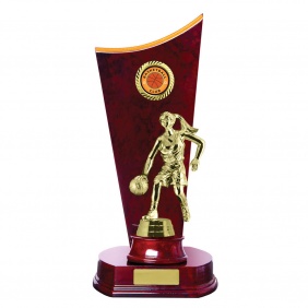 Basketball Trophy B37CHC - Trophy Land