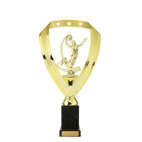 Basketball Trophy B4C - Trophy Land