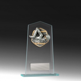 Swimming Trophy BG02A-RI2M - Trophy Land