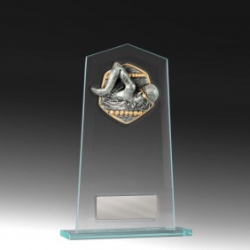 Swimming Trophy BG02B-RI2M - Trophy Land