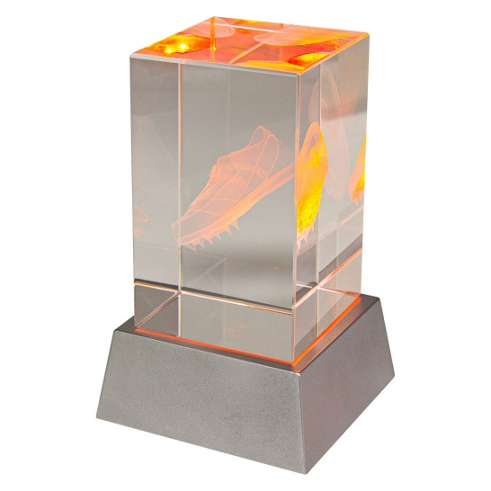 CBLH858 - Trophy Land