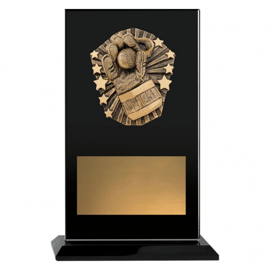CKG290C - Cosmos Glass Wicketkeeper 245mm - Trophy Land CKG290C - Trophy Land