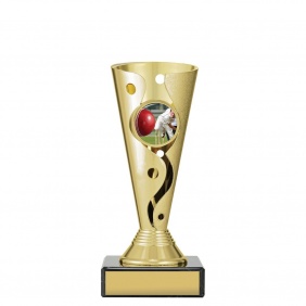 Cricket Trophy CRC403A - Trophy Land