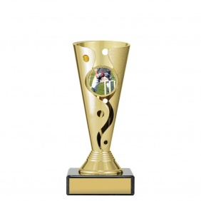 Cricket Trophy CRC405A - Trophy Land