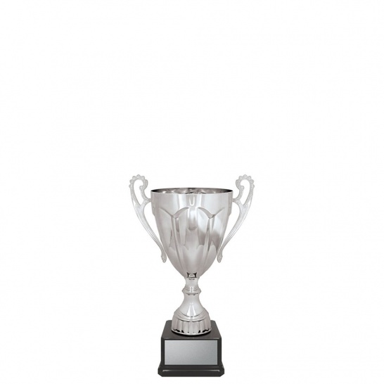 CUP145B - Trophy Land