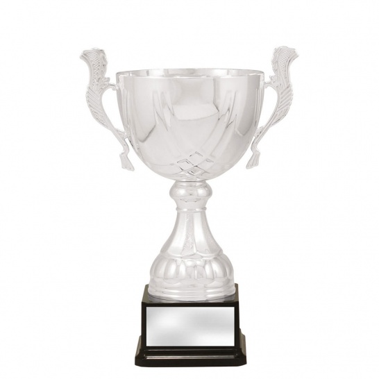 CUP175D - Trophy Land