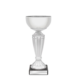 CUP181B