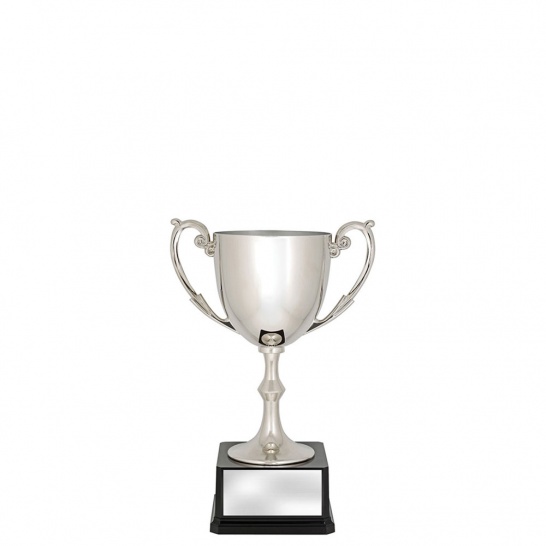 CUP191A - Recognition Cups - 210mm - Trophy Land CUP191A - Trophy Land