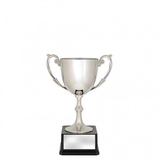 CUP191B - Recognition Cups - 235mm - Trophy Land CUP191B - Trophy Land