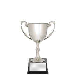CUP191C