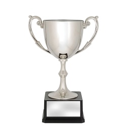 CUP191E