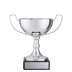 CUP195A