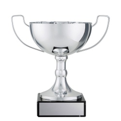 CUP195B