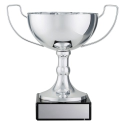 CUP195C