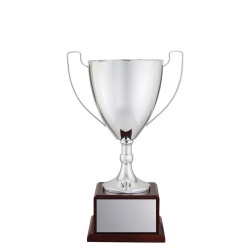 CUP196B