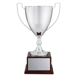 CUP196D